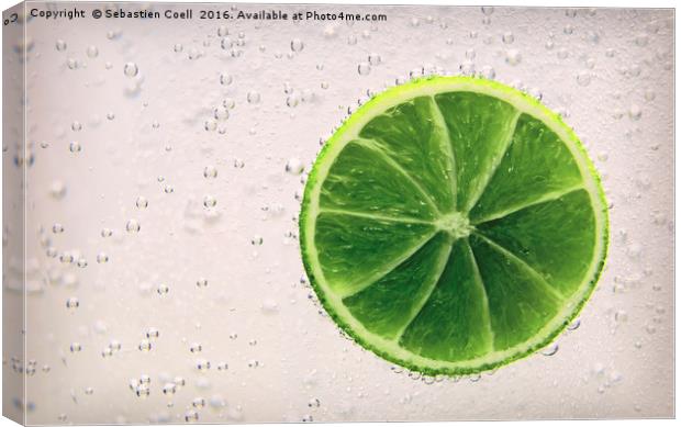Fresh lime Canvas Print by Sebastien Coell
