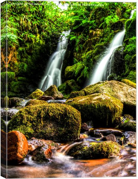 Venford waterfall on the Dartmoor national park Canvas Print by Sebastien Coell