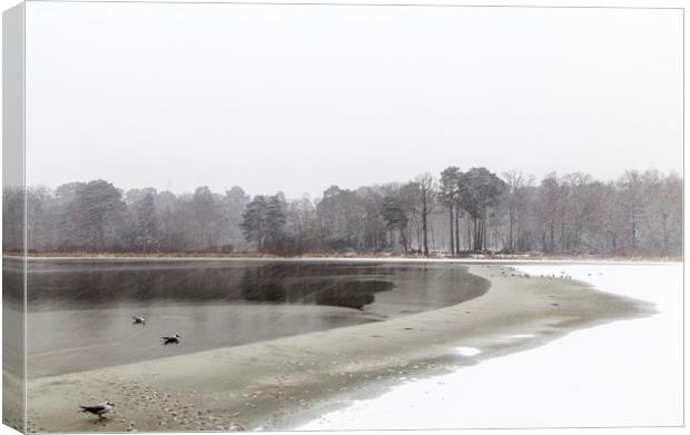  Frozen lake at Stover county park Canvas Print by Sebastien Coell