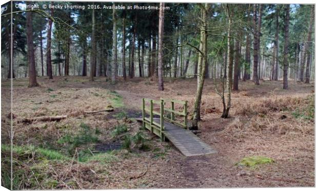 Woodland bridge Canvas Print by Becky shorting