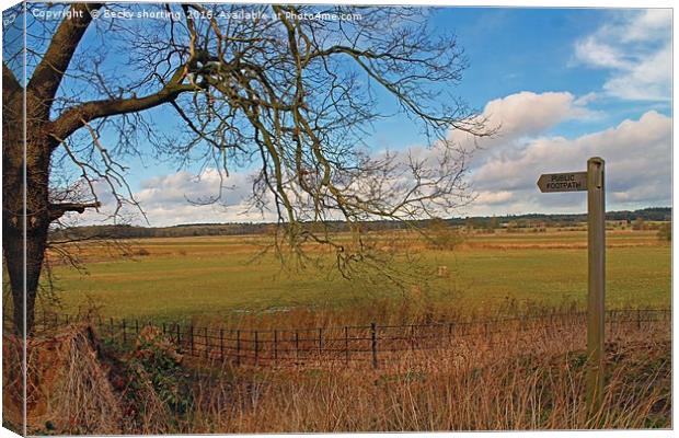 Castle Rising Canvas Print by Becky shorting