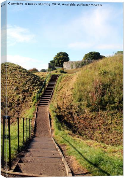 Castle Acre Canvas Print by Becky shorting