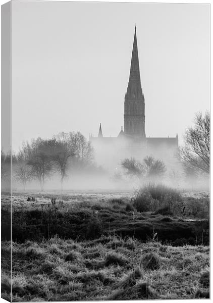  View of Salisbury Cathedral Mono Canvas Print by Paul Chambers