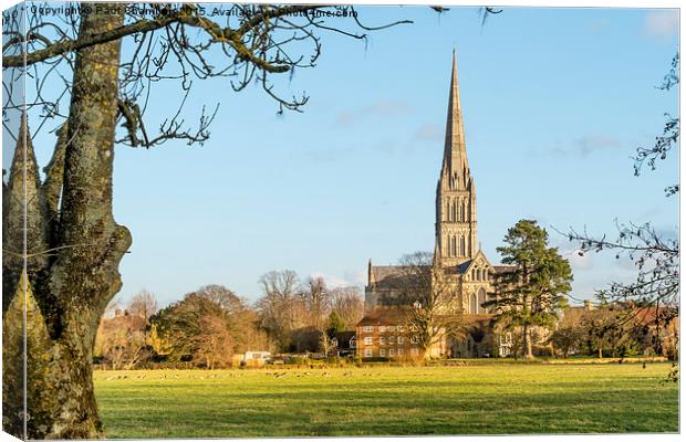 cathedral View across the water meadows Canvas Print by Paul Chambers