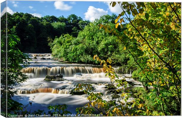 Aysgarth Falls Canvas Print by Paul Chambers