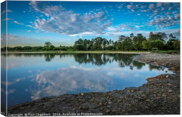 New Forest Reflection Canvas Print by Paul Chambers