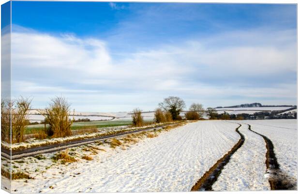 Winter Scenes in Wiltshire a snow covered field at Canvas Print by Paul Chambers