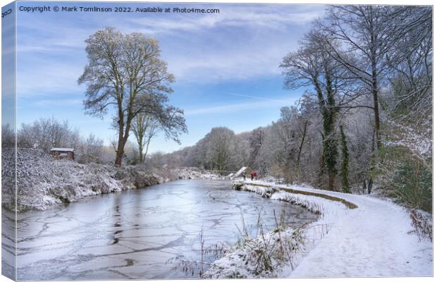 The Icy Millpond Canvas Print by Mark Tomlinson