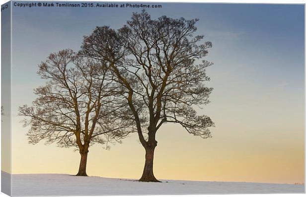  Snowy trees on Ringinglow Road, Sheffield Canvas Print by Mark Tomlinson