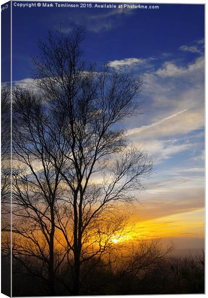  Winter Sunset Canvas Print by Mark Tomlinson