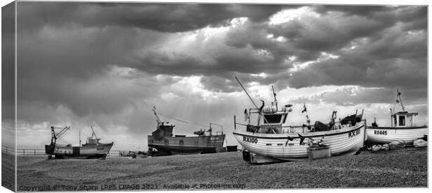 FISHING TRAWLERS, HASTINGS,  EAST SUSSEX Canvas Print by Tony Sharp LRPS CPAGB