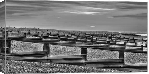 SEA DEFENCES -PETT LEVEL, EAST SUSSEX Canvas Print by Tony Sharp LRPS CPAGB