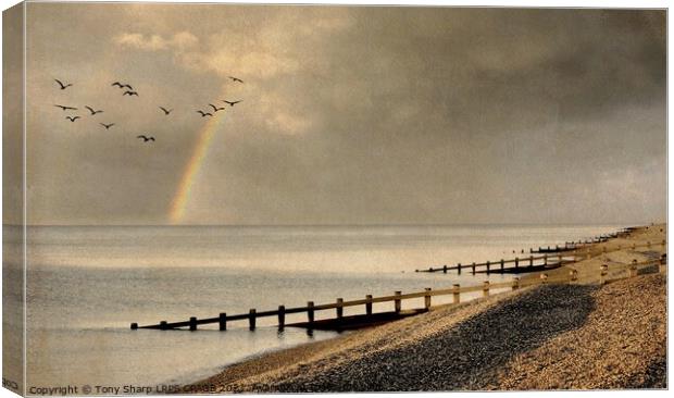 UNDER STORMY SKIES Canvas Print by Tony Sharp LRPS CPAGB