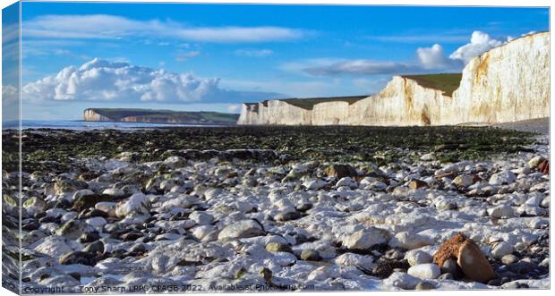 THE SEVEN SISTERS FROM BIRLING GAP Canvas Print by Tony Sharp LRPS CPAGB