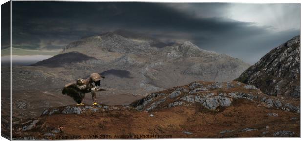 GOLDEN EAGLE IN THE SCOTTISH HIGHLANDS Canvas Print by Tony Sharp LRPS CPAGB