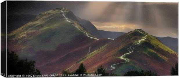 CATBELLS SUNLIGHT Canvas Print by Tony Sharp LRPS CPAGB