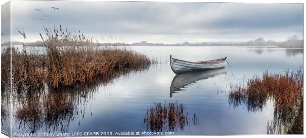 AMONGST THE MIST -RYE HARBOUR NATURE RESERVE Canvas Print by Tony Sharp LRPS CPAGB