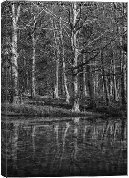 Woodland Reflection Canvas Print by Tony Sharp LRPS CPAGB