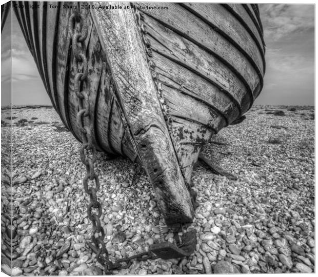 Boat's Prow Canvas Print by Tony Sharp LRPS CPAGB