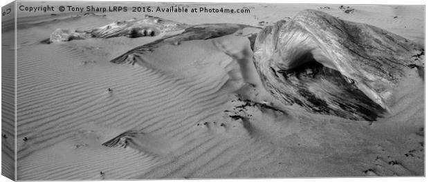 Buried in the Sand Canvas Print by Tony Sharp LRPS CPAGB