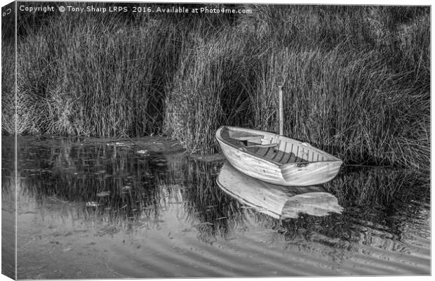 Rowing Boat Alongside Reeds Canvas Print by Tony Sharp LRPS CPAGB