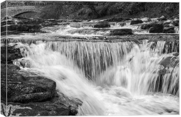 Stainforth Falls, Yorkshire Dales Canvas Print by Tony Sharp LRPS CPAGB