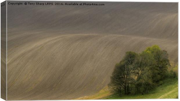 Downland Waves Canvas Print by Tony Sharp LRPS CPAGB