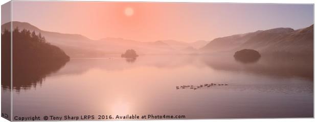 Rose Coloured Sunrise - Derwent Water Canvas Print by Tony Sharp LRPS CPAGB