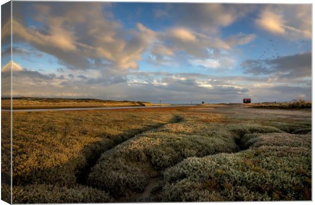 Towards the End of the Day - Rye Harbour, E. Susse Canvas Print by Tony Sharp LRPS CPAGB