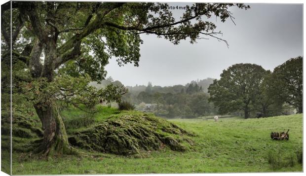 PASTORAL SCENE Canvas Print by Tony Sharp LRPS CPAGB