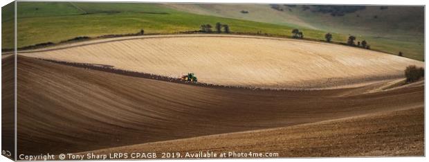 PLOUGHING THE SOUTH DOWNS Canvas Print by Tony Sharp LRPS CPAGB