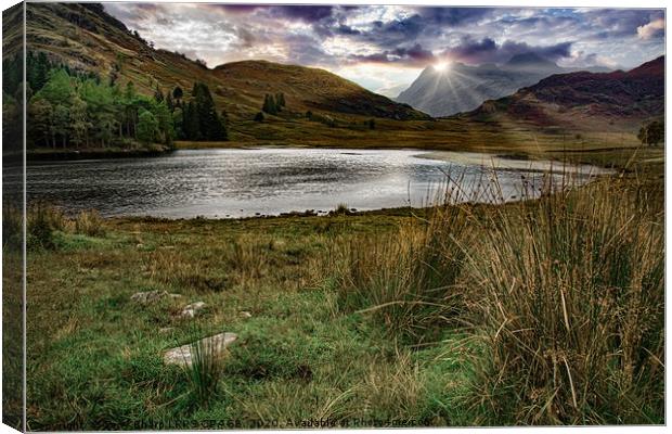THE LANGDALE PIKES VIEWED OVER BLEA TARN Canvas Print by Tony Sharp LRPS CPAGB
