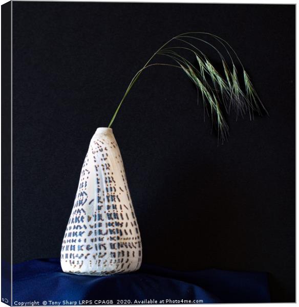 Conidae (Cone Shell)  Vase Displaying Grass Sprig Canvas Print by Tony Sharp LRPS CPAGB