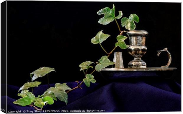 CANDLE HOLDER WITH IVY SPRIG Canvas Print by Tony Sharp LRPS CPAGB