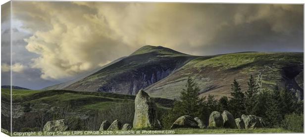 CASTLERIGG STONE CIRCLE AND SKIDDAW Canvas Print by Tony Sharp LRPS CPAGB
