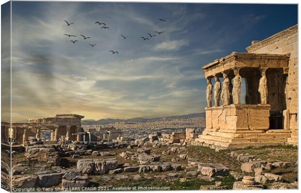 The Caryatid porch of the Erechtheion in Athens Canvas Print by Tony Sharp LRPS CPAGB