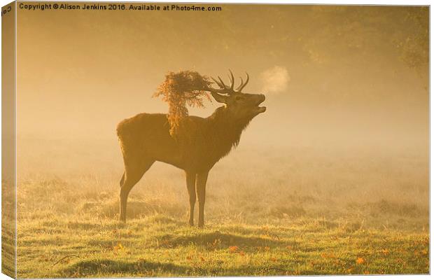  Morning Mist Deer Canvas Print by Alison Jenkins