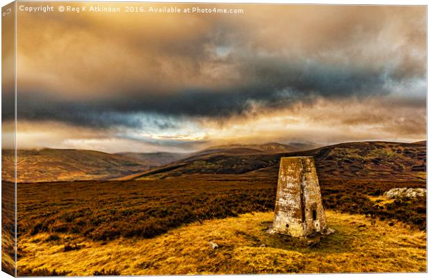 Cheviot Under Cloud from Coldlaw Canvas Print by Reg K Atkinson