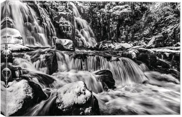 Bleabeck Force In Flow Canvas Print by Reg K Atkinson
