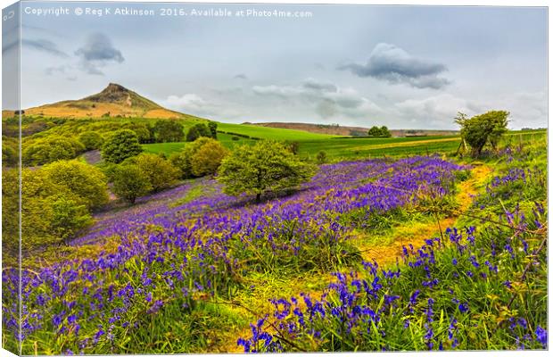 Spring at Rosebery Topping Canvas Print by Reg K Atkinson