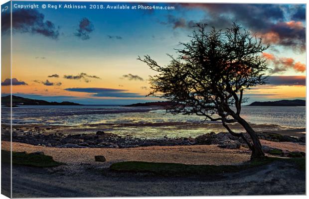 Rockcliffe Bay Sunset Canvas Print by Reg K Atkinson