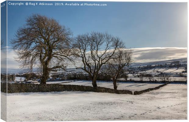 Snow Covered Yorkshire Dales Canvas Print by Reg K Atkinson
