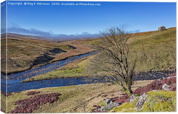 Meldon Hill and Golden Mea Canvas Print by Reg K Atkinson