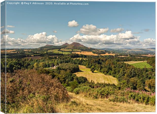 Scotts View to Eildon Hills Canvas Print by Reg K Atkinson