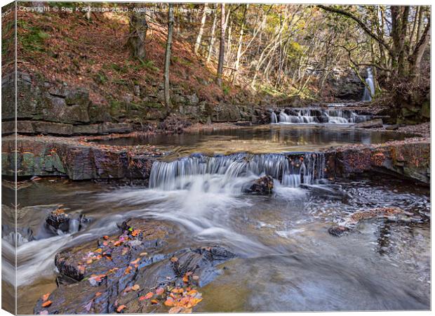 Summerhill Force Canvas Print by Reg K Atkinson