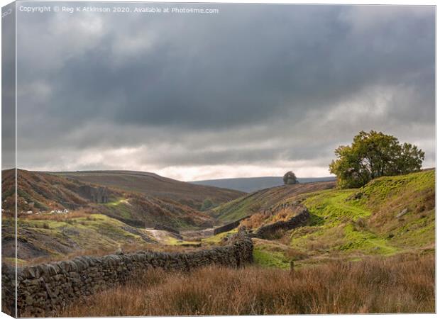 Hebden Fells - Yorkshire Canvas Print by Reg K Atkinson