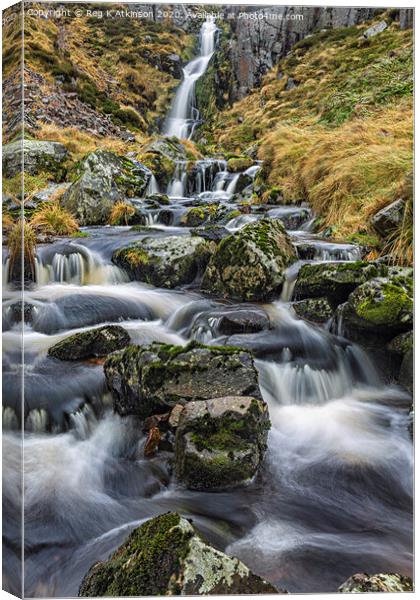 Waterfall at The Hen Hole Canvas Print by Reg K Atkinson