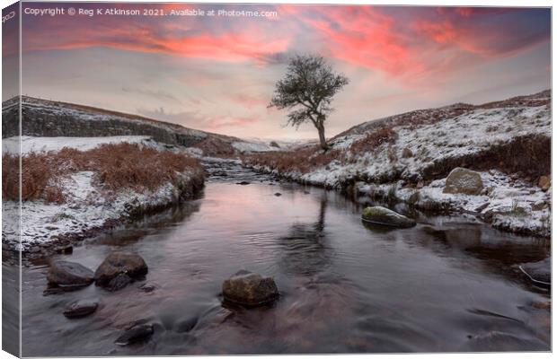 Durham Dales Canvas Print by Reg K Atkinson