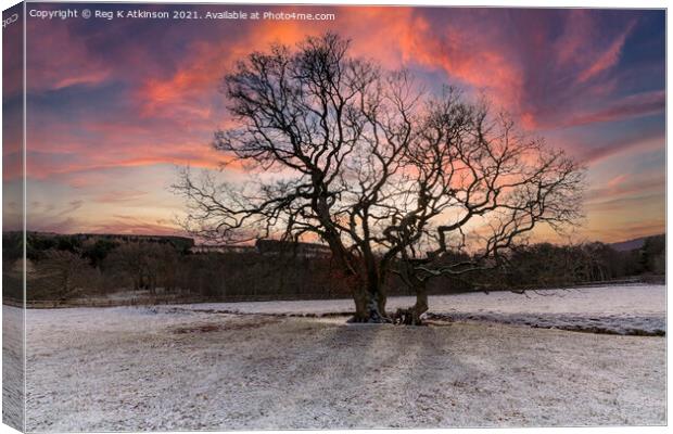 Derwent Sunset Canvas Print by Reg K Atkinson