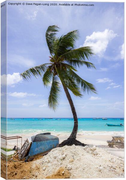 Typically Tropical Canvas Print by Dave Fegan-Long